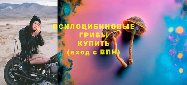 амф Заводоуковск