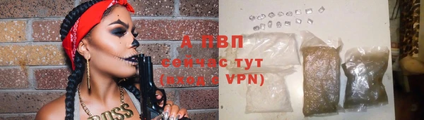 стаф Заволжск