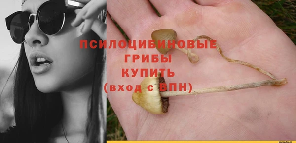 стаф Заволжск
