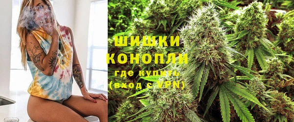 стаф Заволжск