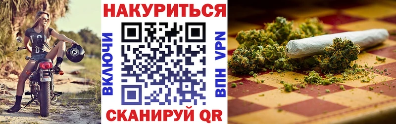 Конопля Amnesia  Купить где  Мышкин 